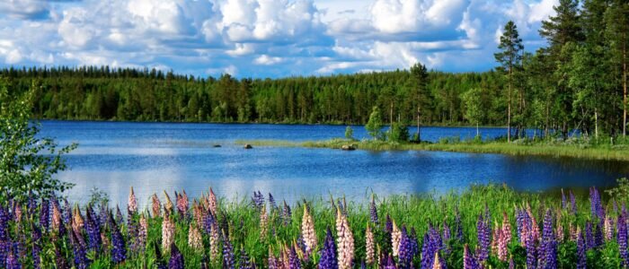 Landscape Photography